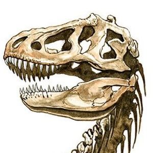 Meet your Posher, Annel